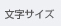 �����T�C�Y